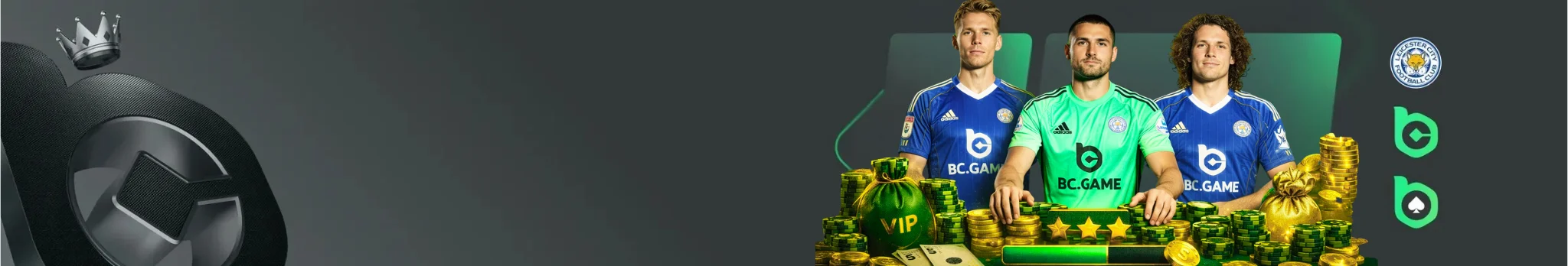 banner for vip page